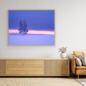 Vintermorgon i Grövelsjöfjällen