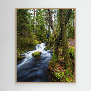 Vattenfall i Bråtaskogens naturreservat – Mölnlycke | Canvas