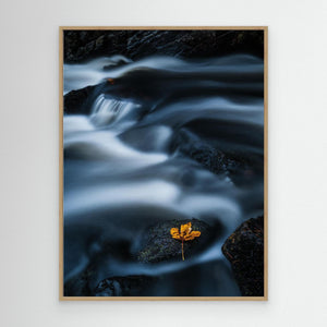 Ett löv i strömmen – Mölndalsån, Kvarnberget | Canvas
