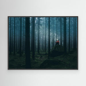 Ett ljus i Herkulesskogen - CANVAS