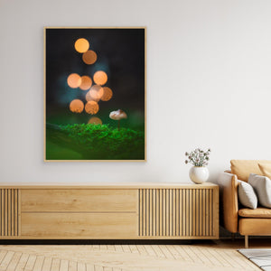 Sagoljus i Bråtaskogen - CANVAS