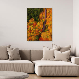 Höstens färgflod – Tostaredsvägen - CANVAS