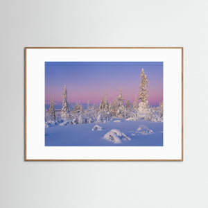 Vintermorgon i Lofsdalsfjällen – snöklädda fjällbjörkar | Fine Art Print