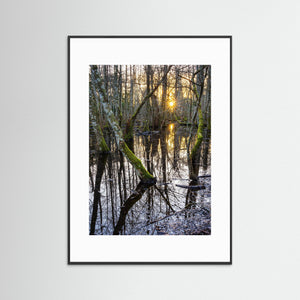 Solnedgång i Särö Västerskog – Kungsbacka | Fine Art Print