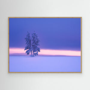 Vintermorgon i Grövelsjöfjällen