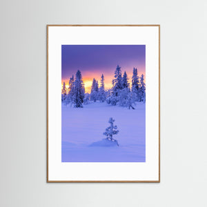 Vinterlandskap i Lofsdalsfjällen – Härjedalen | Fine Art Print