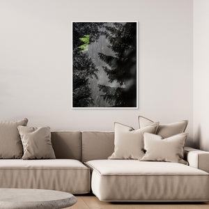 Ormbunke i Bråtaskogen – Dubbelexponering - CANVAS