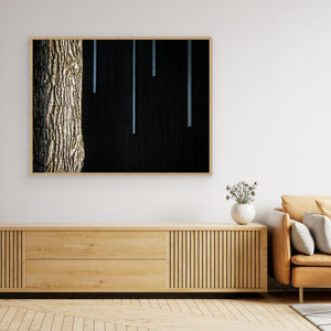 Ljus och struktur - CANVAS