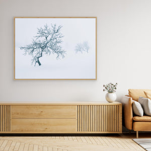 Fjällbjörkar i dimma – Grövelsjöfjällen vinter | Canvas