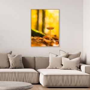 Höstglöd i Svejserdalen - CANVAS