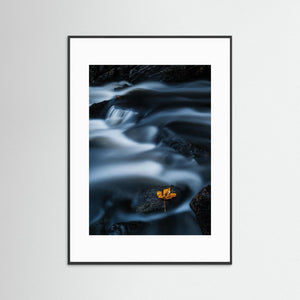 Ett löv i strömmen – Mölndalsån, Kvarnberget | Fine Art Print
