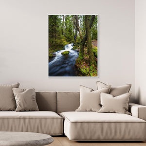 Vattenfall i Bråtaskogens naturreservat – Mölnlycke | Canvas