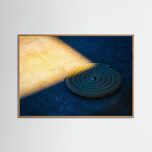Reptamp i ljus och skugga – Lilla Bommen, Göteborg | Fine Art Print