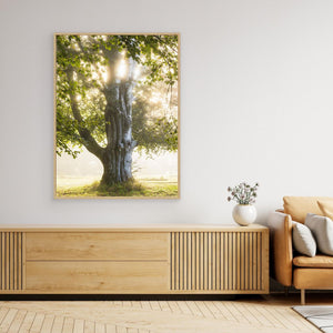Morgonljus i Nääs slottspark – Lerums kommun | Canvas