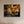 Gyllene ögonblick i Änggårdsbergen - CANVAS