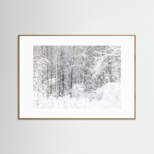 Snötäckt skog Änggårdsbergen Göteborg – Vinterlandskap | Fine Art Print