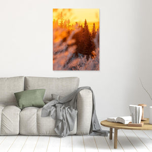 Lofsdalen – Gyllene morgonljus i Lofsdalsfjällen | Canvas