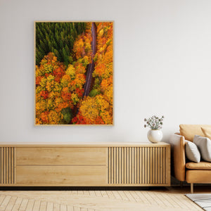 Höstens färgflod – Tostaredsvägen - CANVAS
