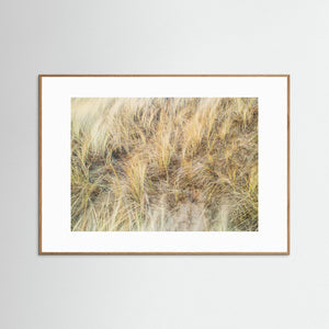 Vesslunda Naturreservat Falkenberg – Sanddynor & Gräs | Fine Art Print