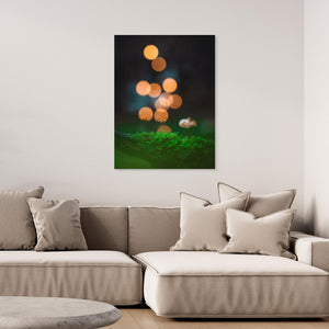 Sagoljus i Bråtaskogen - CANVAS