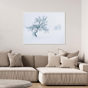 Fjällbjörkar i dimma – Grövelsjöfjällen vinter | Canvas