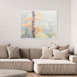 Dimma bland ekarna – Krokängsparken, Göteborg | Canvas