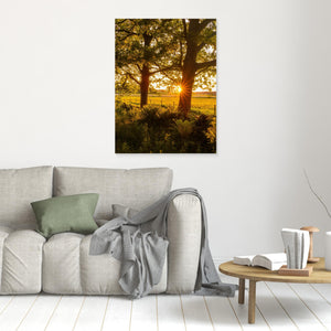 Solnedgång vid Hökälla naturreservat – Hisingen Göteborg | Canvas