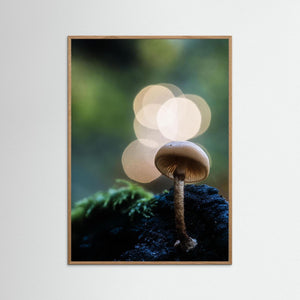 Skogens små världar – Ramberget, Hisingen | Fine Art Print