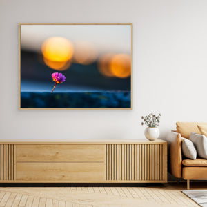 Blommande trift vid Lerkil – Kungsbacka kommun | Canvas