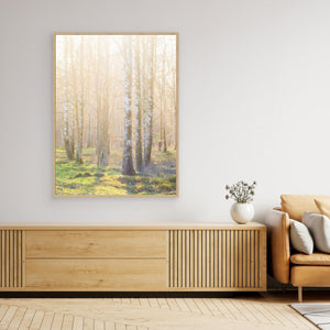 Björkskog i morgonljus – Ellesbo Hisingen | Canvas