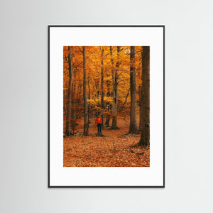 Höstfärger i bokskog – Svejserdalen Mölndal | Fine Art Print