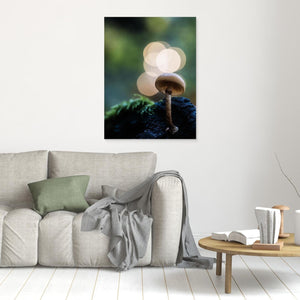 Skogens små världar – Ramberget, Hisingen | Canvas