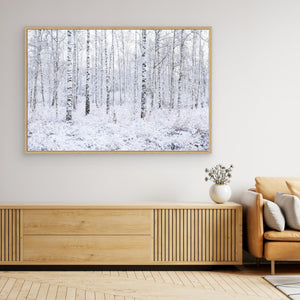 Nysnö i björkdungen - CANVAS