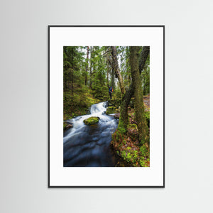 Vattenfall i Bråtaskogens naturreservat – Mölnlycke | Fine Art Print