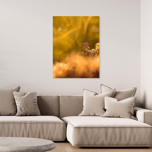 Frostglöd vid Haketjärnen - CANVAS