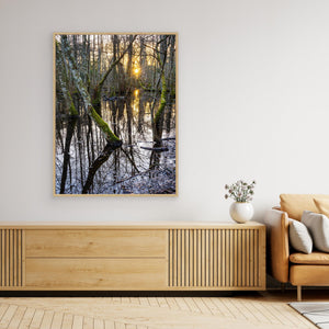 Solnedgång i Särö Västerskog – Kungsbacka | Canvas