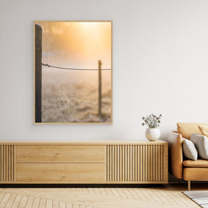 Spindelnät i morgonljus – Rådasjöns naturreservat | Canvas