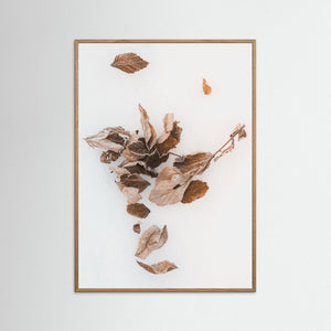 Härjedalen – Vinterlöv vid Sörvattnet | Fine Art Print