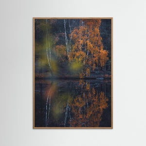 Höst vid Trinde mosse – Änggårdsbergen Göteborg | Fine Art Print