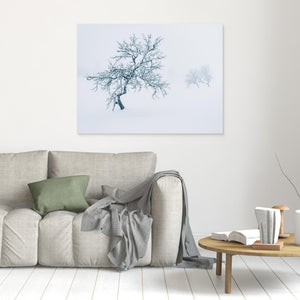 Fjällbjörkar i dimma – Grövelsjöfjällen vinter | Canvas