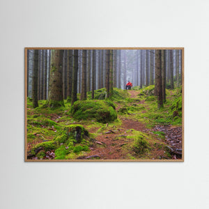 Dimmig Skog Mölndal – Herkulesskogen | Fine Art Print