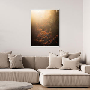 Göteborg – Ljus i Änggårdsbergens skog | Canvas