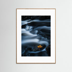 Ett löv i strömmen – Mölndalsån, Kvarnberget | Fine Art Print