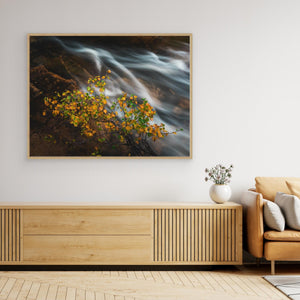 Höst vid Livsäterån - CANVAS
