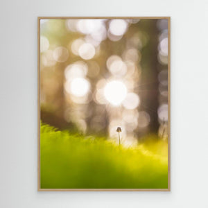 Liten i det stora - CANVAS