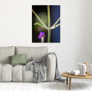 Blomma i motljus vid Fallebokvarn – Oskarshamn | Canvas