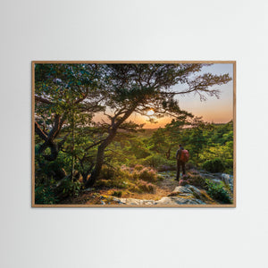 Solnedgång vid Ranebo naturskog – Svartedalen, Bohuslän | Fine Art Print 