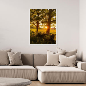 Solnedgång vid Hökälla naturreservat – Hisingen Göteborg | Canvas