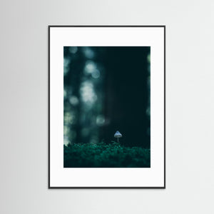 Liten svamp i mossan – Herkulesskogen i Mölndal | Fine Art Print
