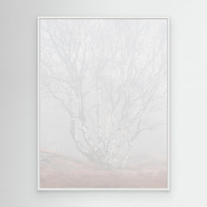 Dimma i Änggårdsbergen – Naturfoto från Göteborg | Canvas
